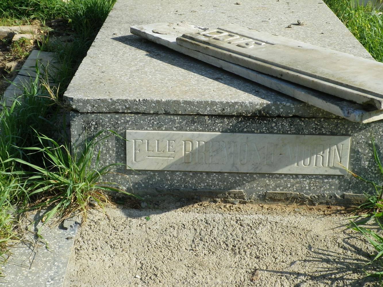 CIMETIERE DE TAMAZOUHET D ORAN EN MARS 2012  (53).JPG